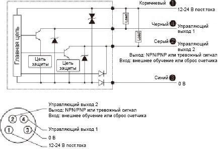 Два независимых выхода. Каждый выход может быть настроен по отдельности.