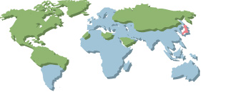 Может использоваться во всем мире