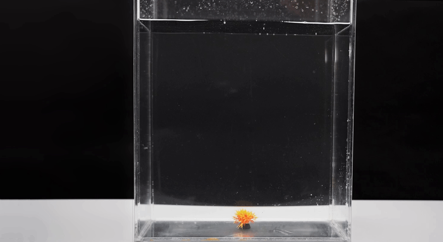 окунание в воду.gif